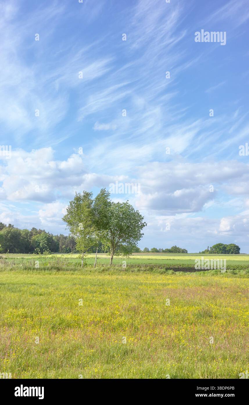 Il paesaggio rurale della Polonia occidentale. Foto Stock
