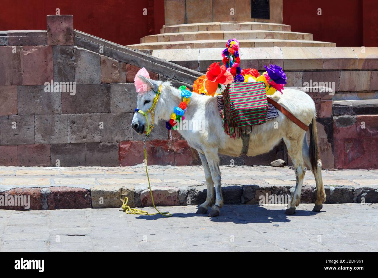 San Miguel de Allende, Messico - 28 maggio 2016: Un asino decorato si erge, probabilmente per foto turistiche, adornato con fiori colorati e uno spazio a righe Foto Stock
