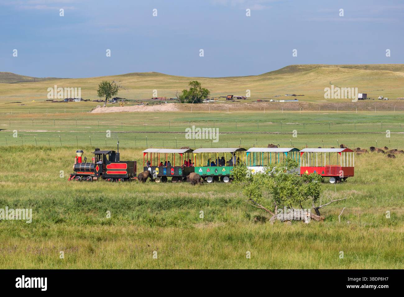 Il tour in treno di Bison porta i visitatori attraverso il pascolo dove i bisonti vagano al Terry Bison Ranch vicino a Cheyenne, Wyoming Foto Stock