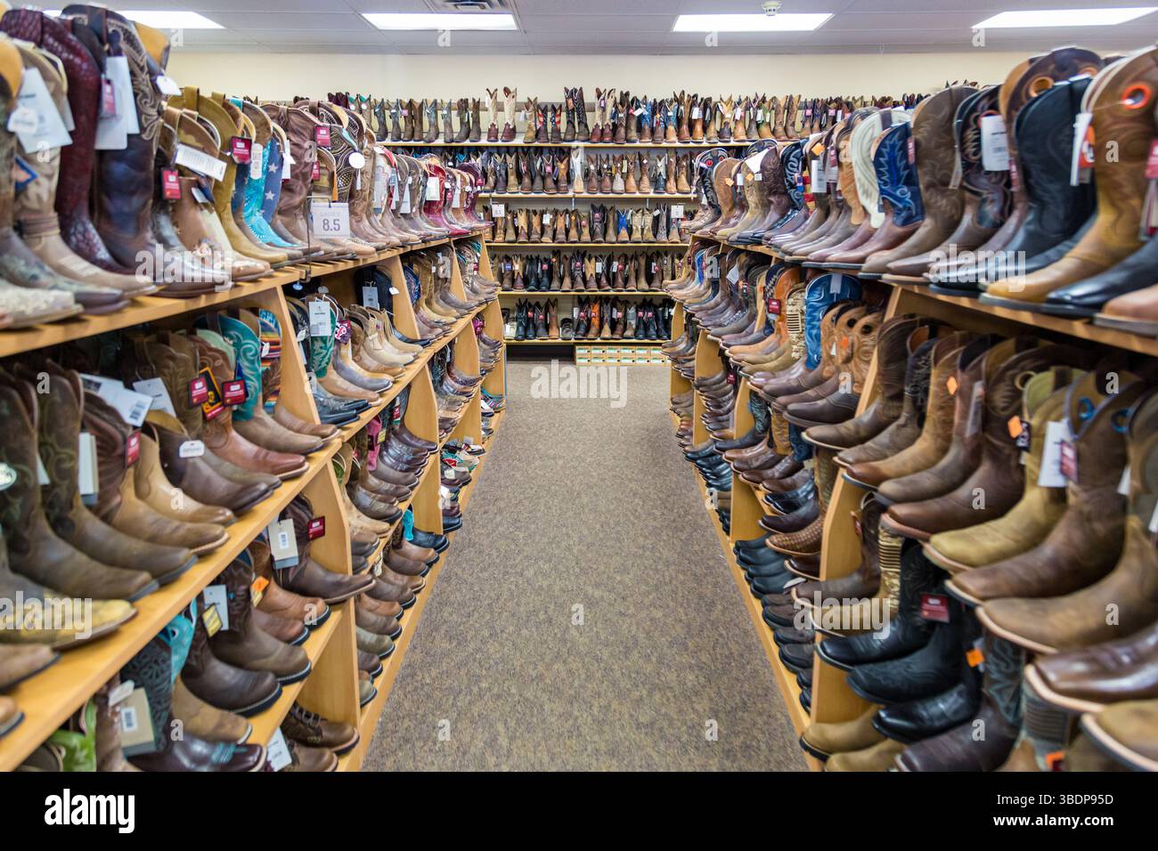 Scaffali pieni di stivali da cowboy in un negozio di Cheyenne, Wyoming Foto Stock Scaffali pieni di stivali da cowboy in un negozio di Cheyenne, Wyoming Foto Stock