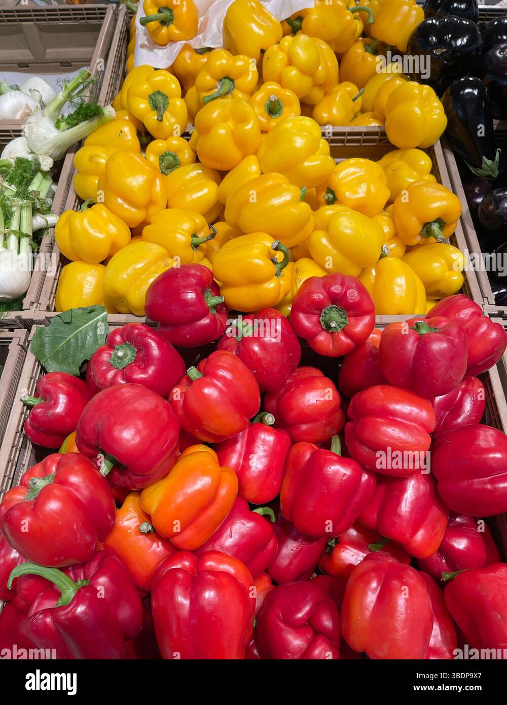Pepe rosso e giallo in casse al mercato europeo, in Italia. Cibo biologico locale e salute. Verdure di stagione. Foto Stock