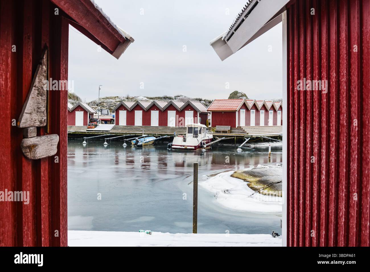 Vivaci boatouses rosse fiancheggiano il porto ghiacciato dell'isola di Fotö, creando un contrasto sorprendente con le acque calme. La neve copre il terreno mentre le barche riposano piselli Foto Stock