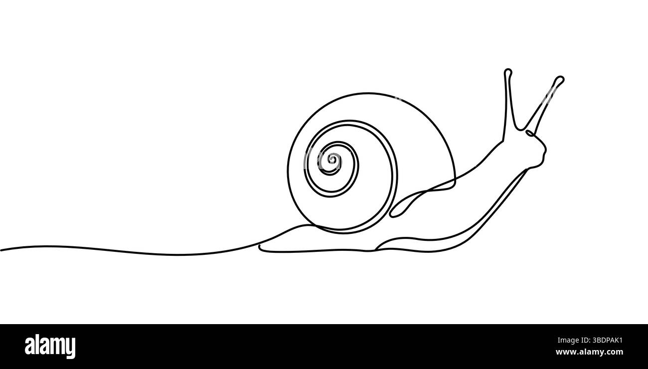 Disegno a una linea continua con lumaca isolato su sfondo bianco ideale per il minimalismo del banner con logo. Illustrazione Vettoriale