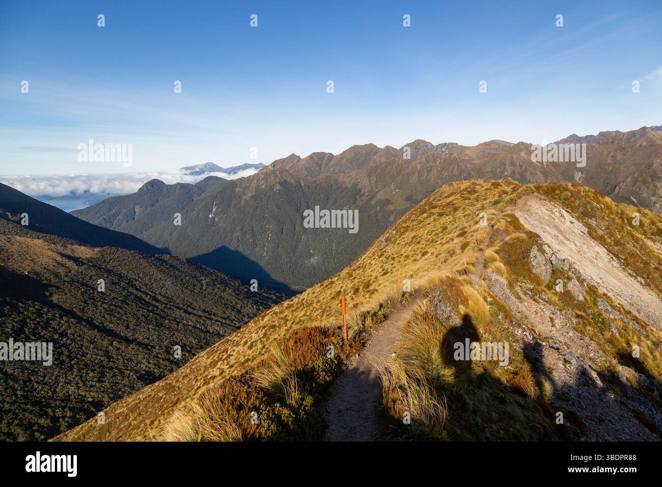 Sezione alpina del Kepler Track, percorso escursionistico a lunga distanza, Fiordland National Park, Southland, nuova Zelanda Foto Stock