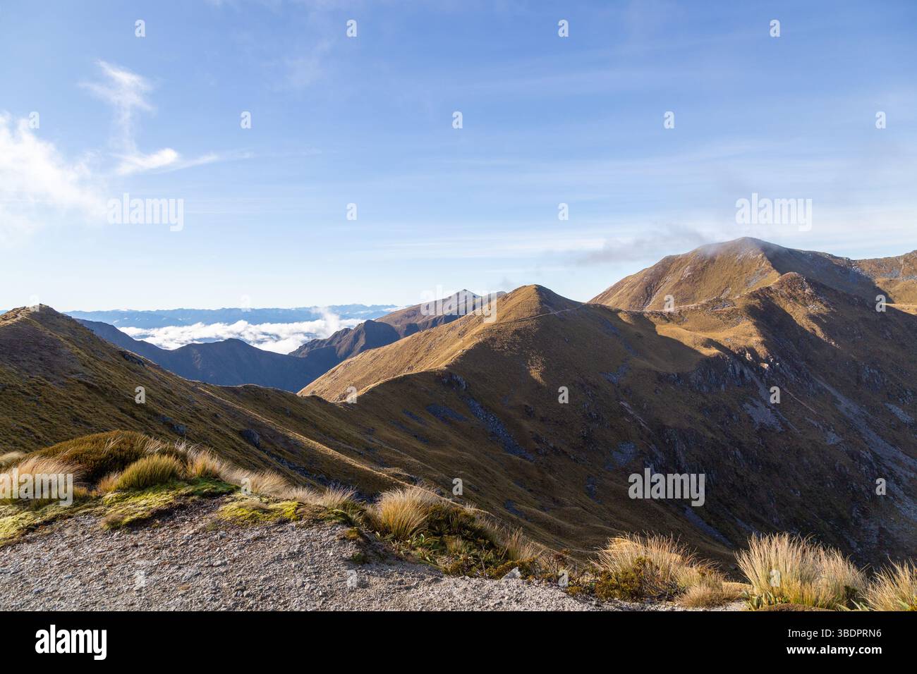 La sezione alpina del Kepler Track, percorso escursionistico a lunga distanza, Fiordland National Park, Southland, nuova Zelanda Foto Stock