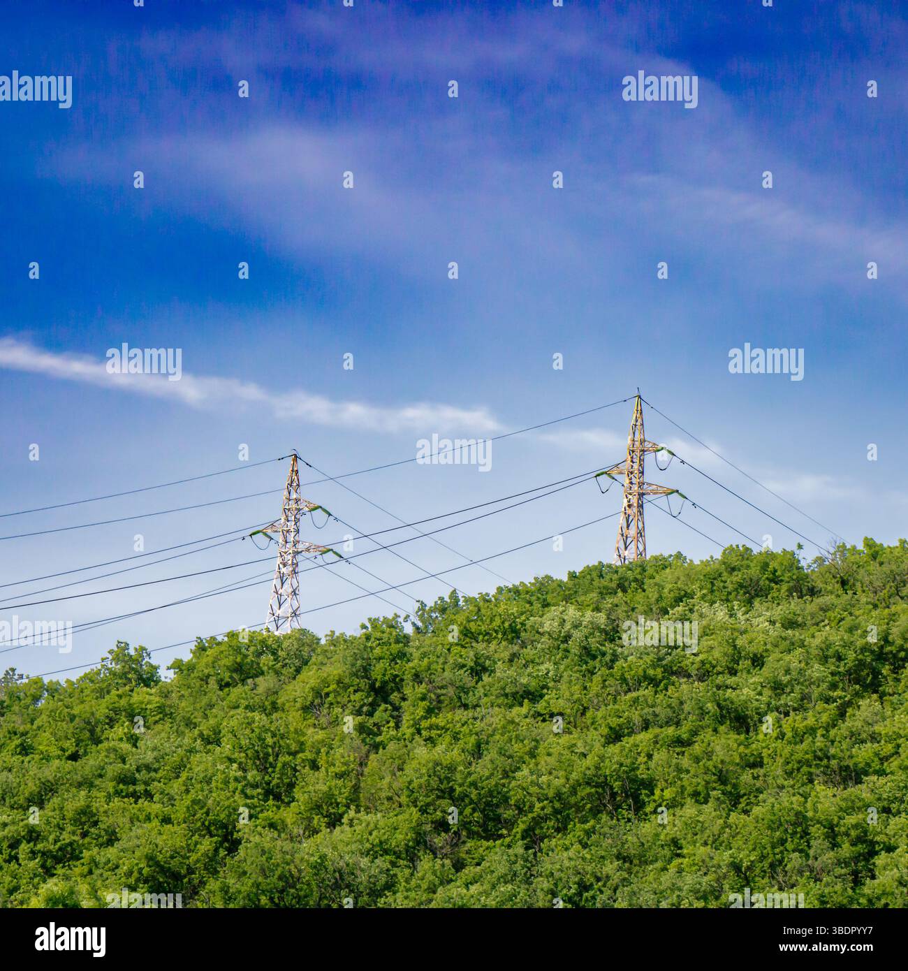 Due serie di linee elettriche si innalzano sopra una lussureggiante collina verde contro un cielo blu vivace con nuvole bianche sparse, mettendo in risalto la miscela di natura e dentro Foto Stock