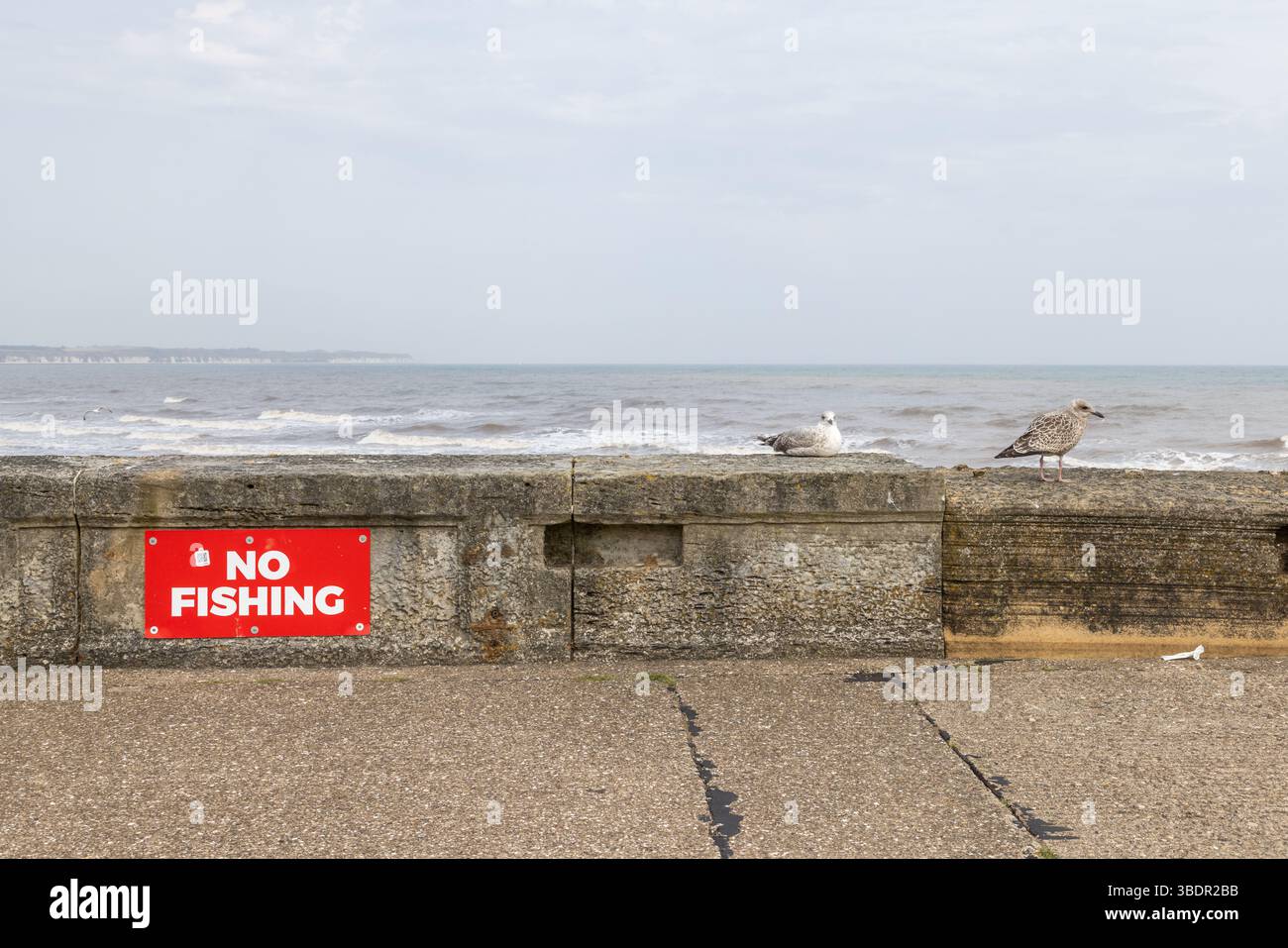 Un cartello di divieto di pesca su una parete costiera con il mare dietro di essa e due gabbiani in attesa del loro prossimo pasto. Concetto di comunità costiere dell'industria della pesca. Foto Stock