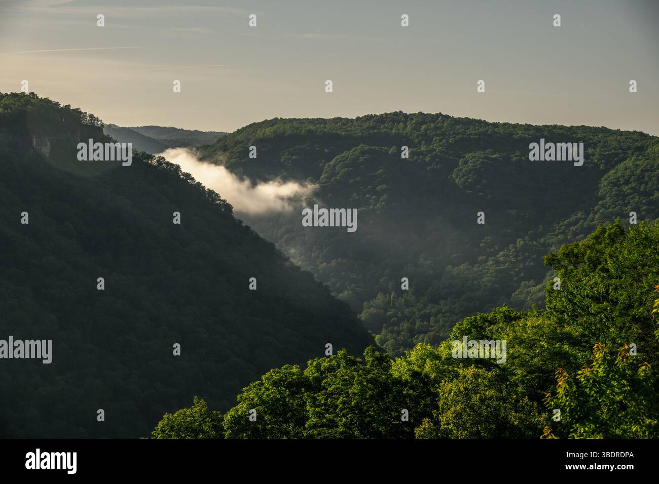 Puffy Cloud si trova tra i due lati del New River Gorge National Park Foto Stock
