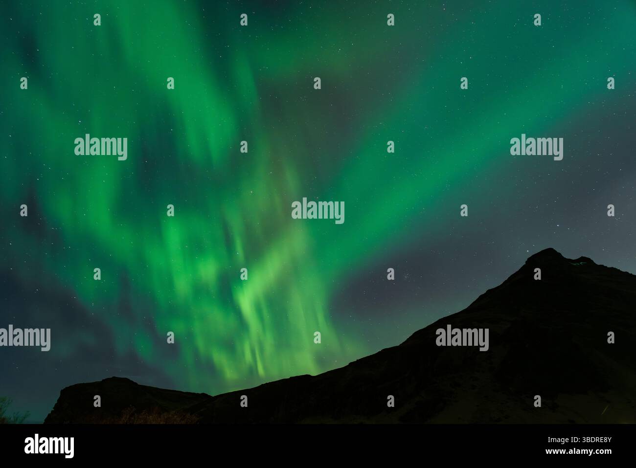 Aurora boreale verde sulle montagne islandesi di notte con Starry Sky Foto Stock