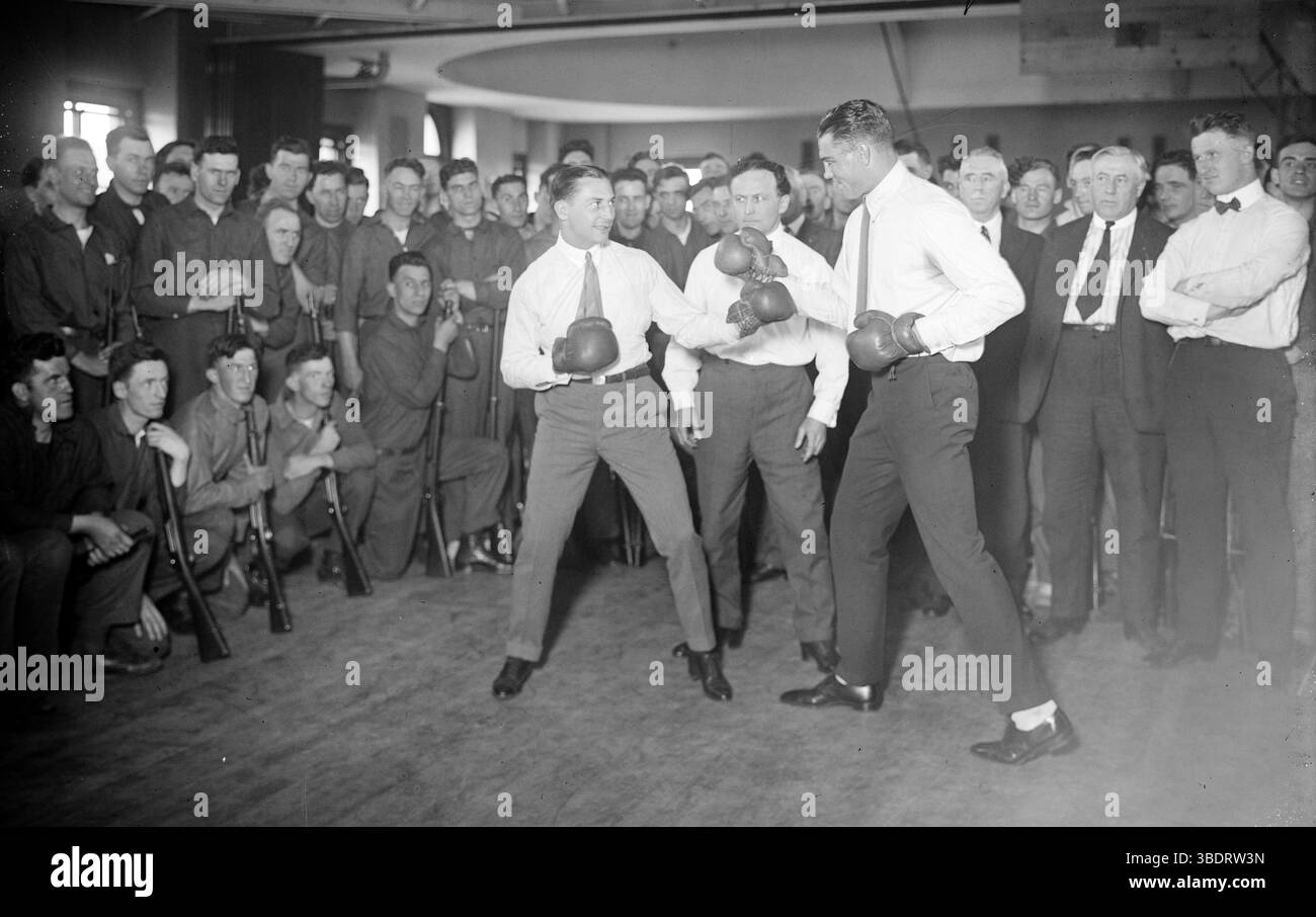 Runner Da Tavola JACK DEMPSEY A Forma Di Tulipani, Bianco, Taglia Unica: Un Tocco Di Stile Floreale Per La Tua Casa