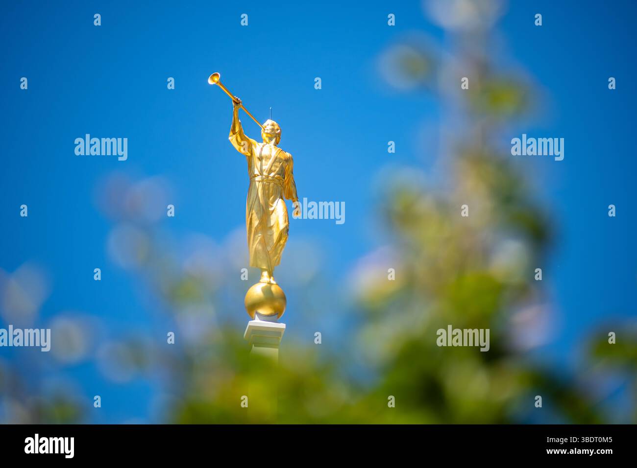 American Fork, UT, USA – 24 maggio 2025: Angel Moroni in cima al Mount Timpanogos Utah Temple simboleggia la fede e la Chiesa dei Santi degli ultimi giorni. Foto Stock