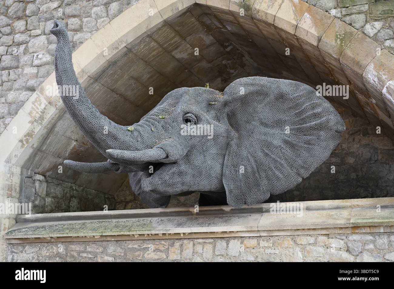 Scultura in filo di elefante alla Torre di Londra, Foto Stock
