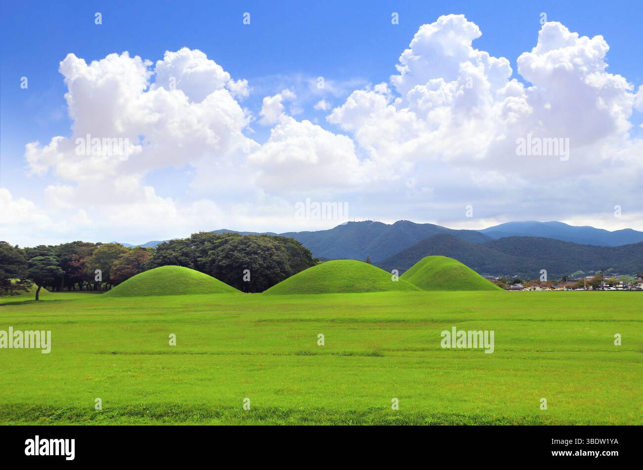 Tomba collinare per re del regno di Silla, Gyeongju, Corea del Sud. Famose tombe reali nel parco Cheonmachong. Punto di riferimento di Gyeongju - tumuli sepolcrali a Tumuli P. Foto Stock