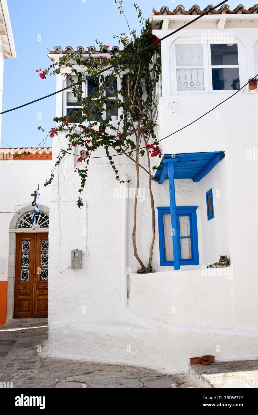 Affascinanti edifici imbiancati in un tradizionale villaggio greco con un gatto rilassato, iconica architettura mediterranea, vita da isola di vacanza Foto Stock