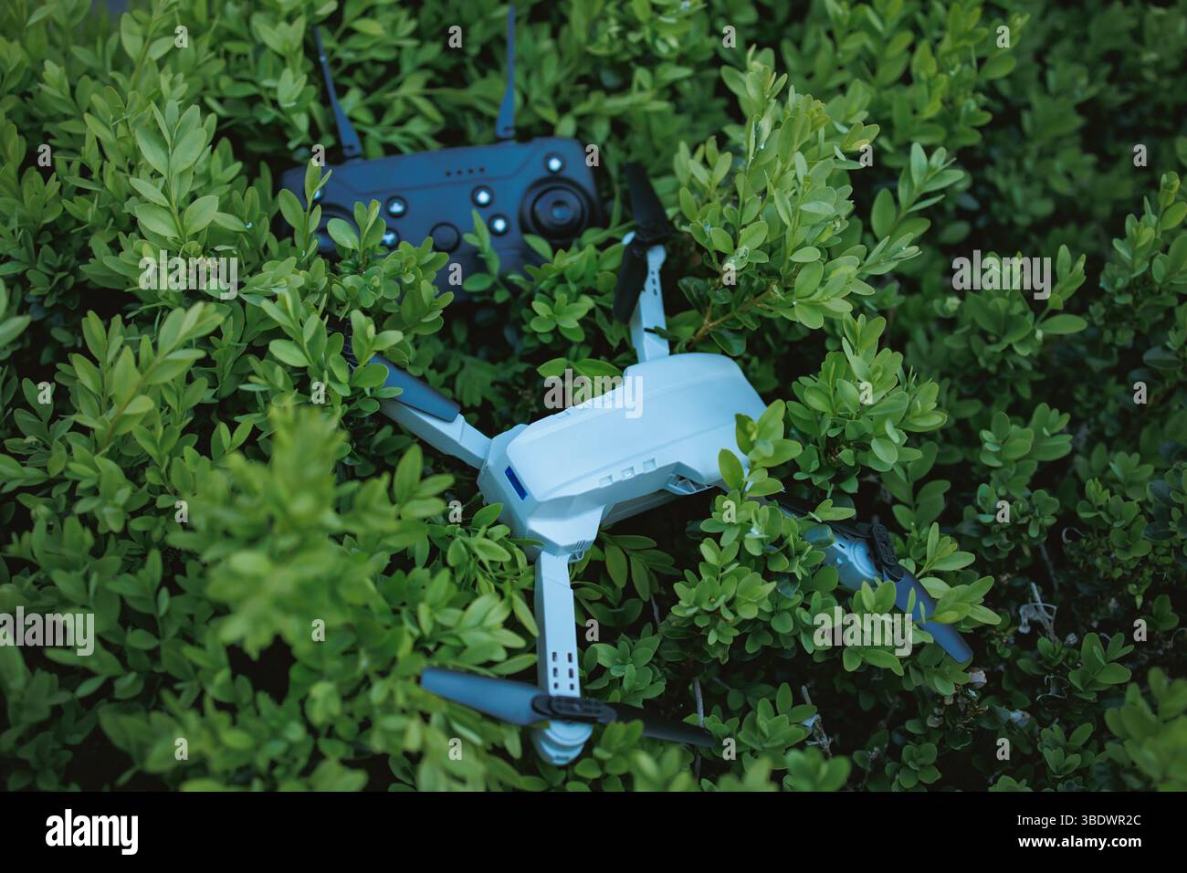 Drone tra i rami di un arbusto. Attrezzatura professionale per le riprese. Foto Stock