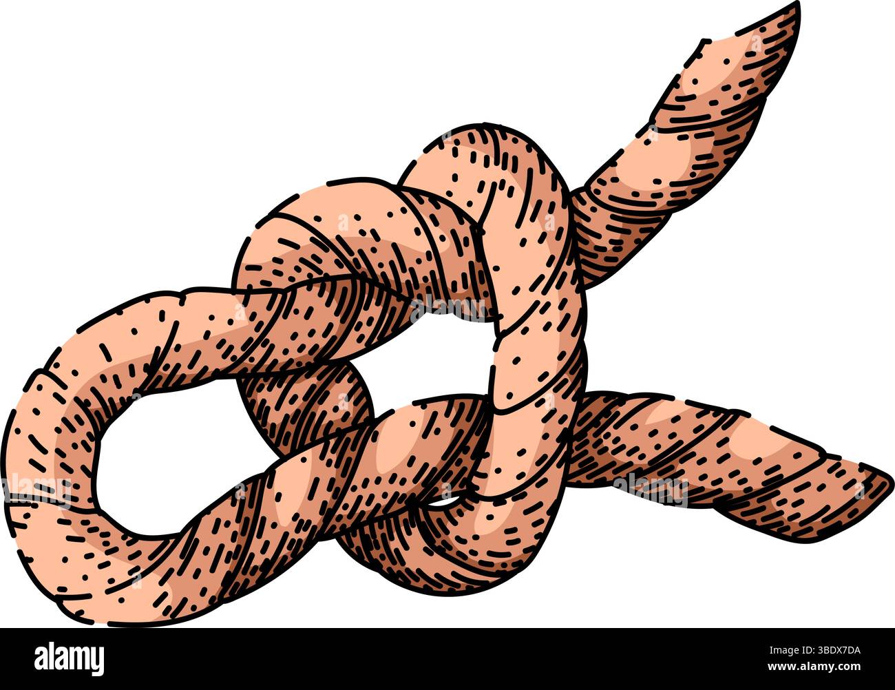 nodo della fune di attacco disegnare il vettore disegnato a mano Illustrazione Vettoriale