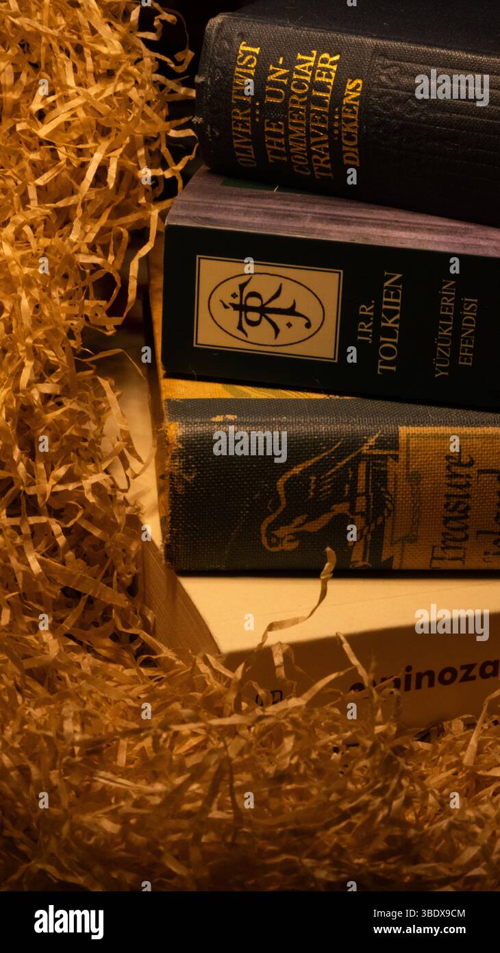 Una pila di classici libri di letteratura antica con vista sulla schiena in un'atmosfera vintage Foto Stock