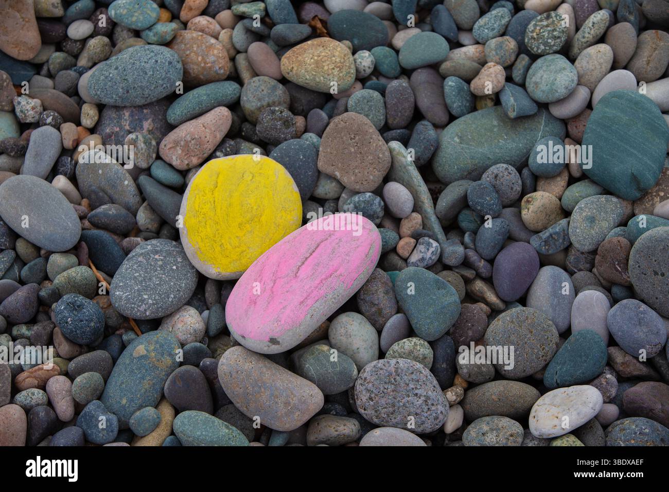 Due pietre dai colori vivaci su uno sfondo di ciottoli di mare grigi. Concetto di creatività. Foto Stock