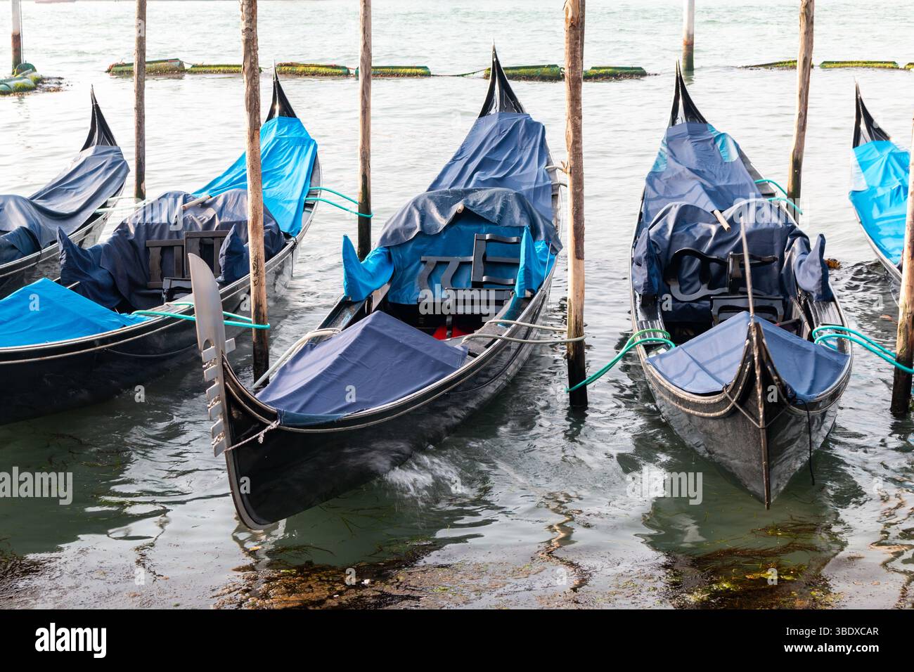 Primo piano delle gondole blu a Venezia, Italia Foto Stock
