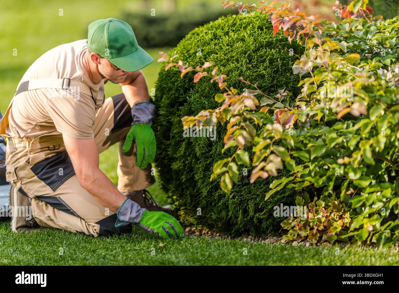 Un giardiniere si inginocchia per rifinire con cura un arbusto in un vivace cortile. La vegetazione lussureggiante e il fogliame colorato creano una serena atmosfera all'aperto. Foto Stock