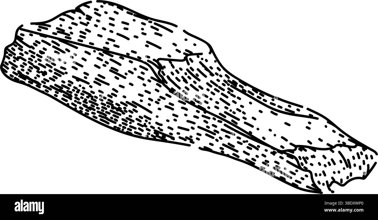 aroma palo santo disegnare vettore disegnato a mano Illustrazione Vettoriale