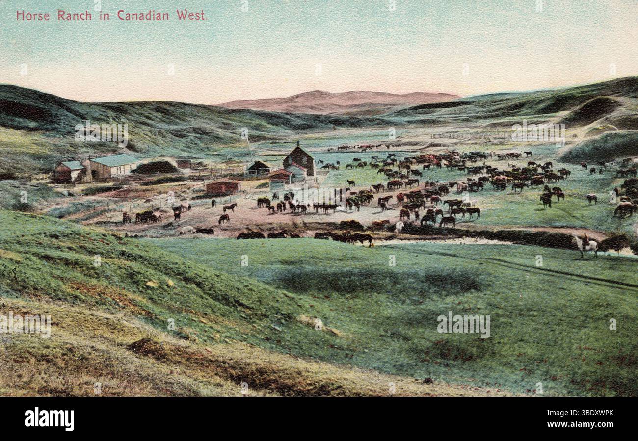 Horse Ranch, Canada occidentale, cartolina degli anni '1910 circa. fotografo non identificato Foto Stock