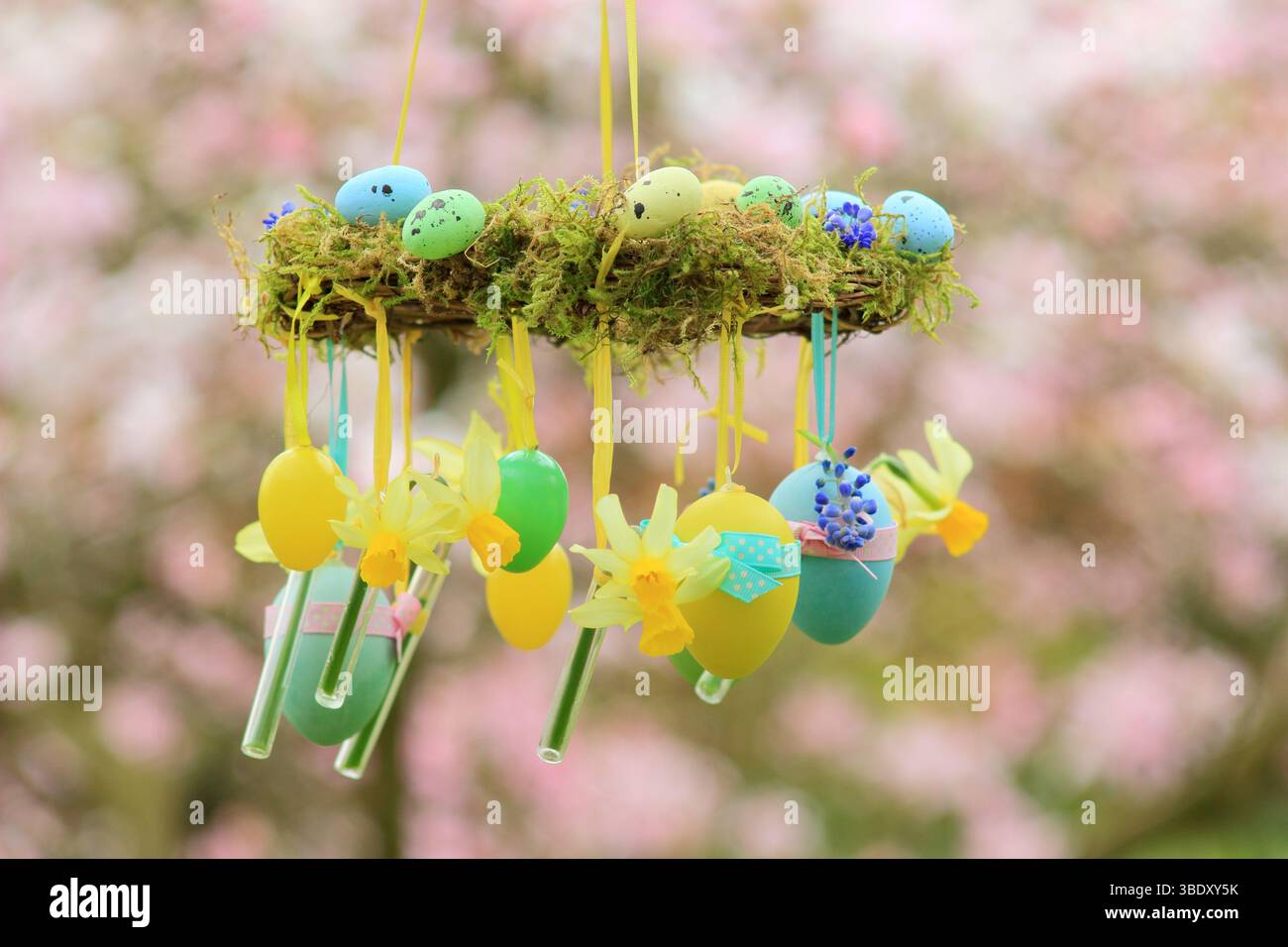 Corona di Pasqua. Facile da realizzare, con muschio, narcisi in miniatura e uovo di Pasqua sospeso sul ramo del giardino con nastro giallo. REGNO UNITO Foto Stock