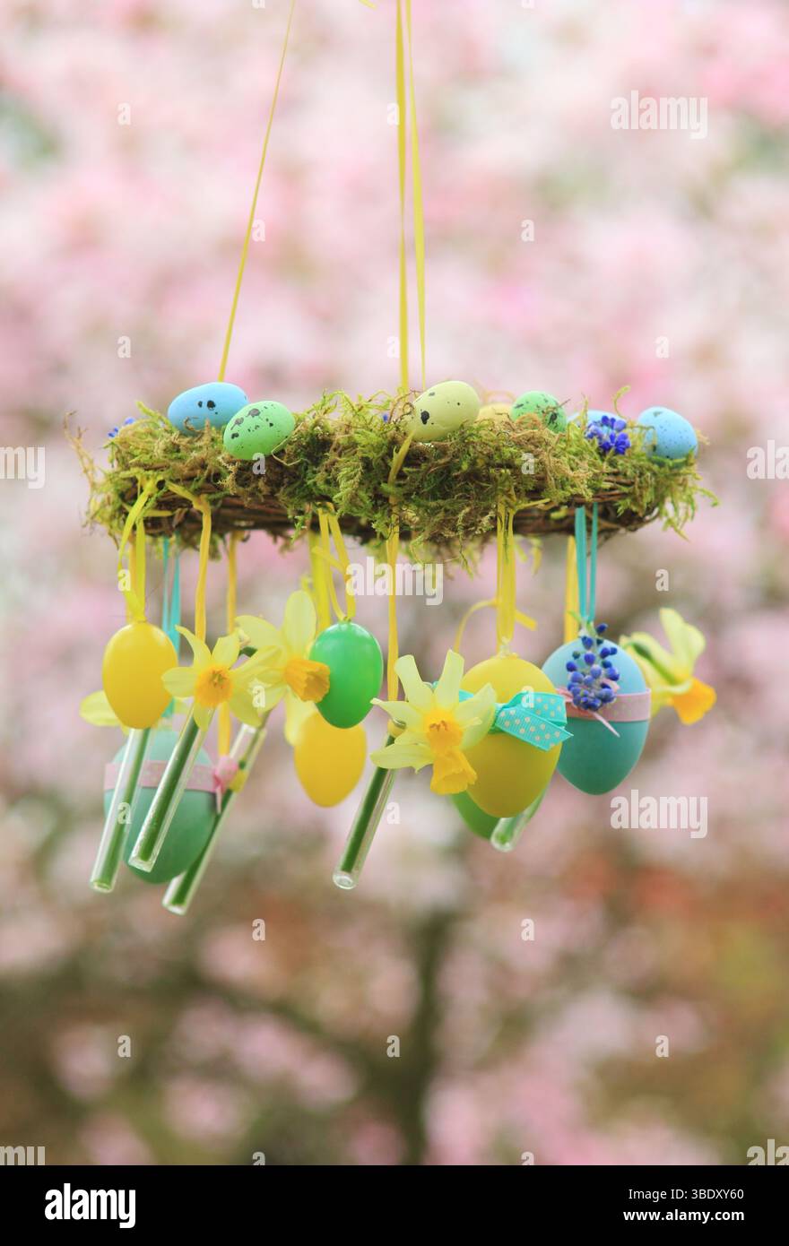 Corona di Pasqua. Facile da realizzare, con muschio, narcisi in miniatura e uovo di Pasqua sospeso sul ramo del giardino con nastro giallo. REGNO UNITO Foto Stock