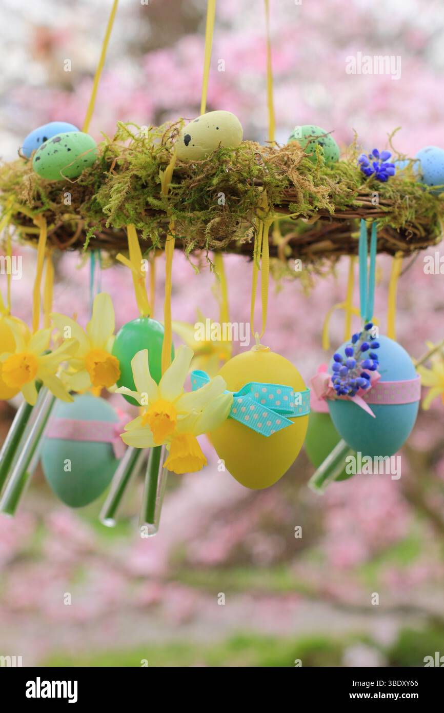 Corona di Pasqua. Facile da realizzare, con muschio, narcisi in miniatura e uovo di Pasqua sospeso sul ramo del giardino con nastro giallo. REGNO UNITO Foto Stock