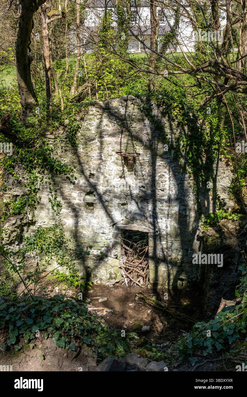Rovina di Old Mill Monknash nel Galles del Sud, Regno Unito Foto Stock