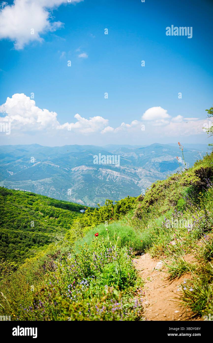 Pittoresco paesaggio montano vicino a Kojori, Georgia, lussureggianti pendii della foresta sotto un cielo soleggiato, perfetto per bellezze naturali e temi turistici Foto Stock