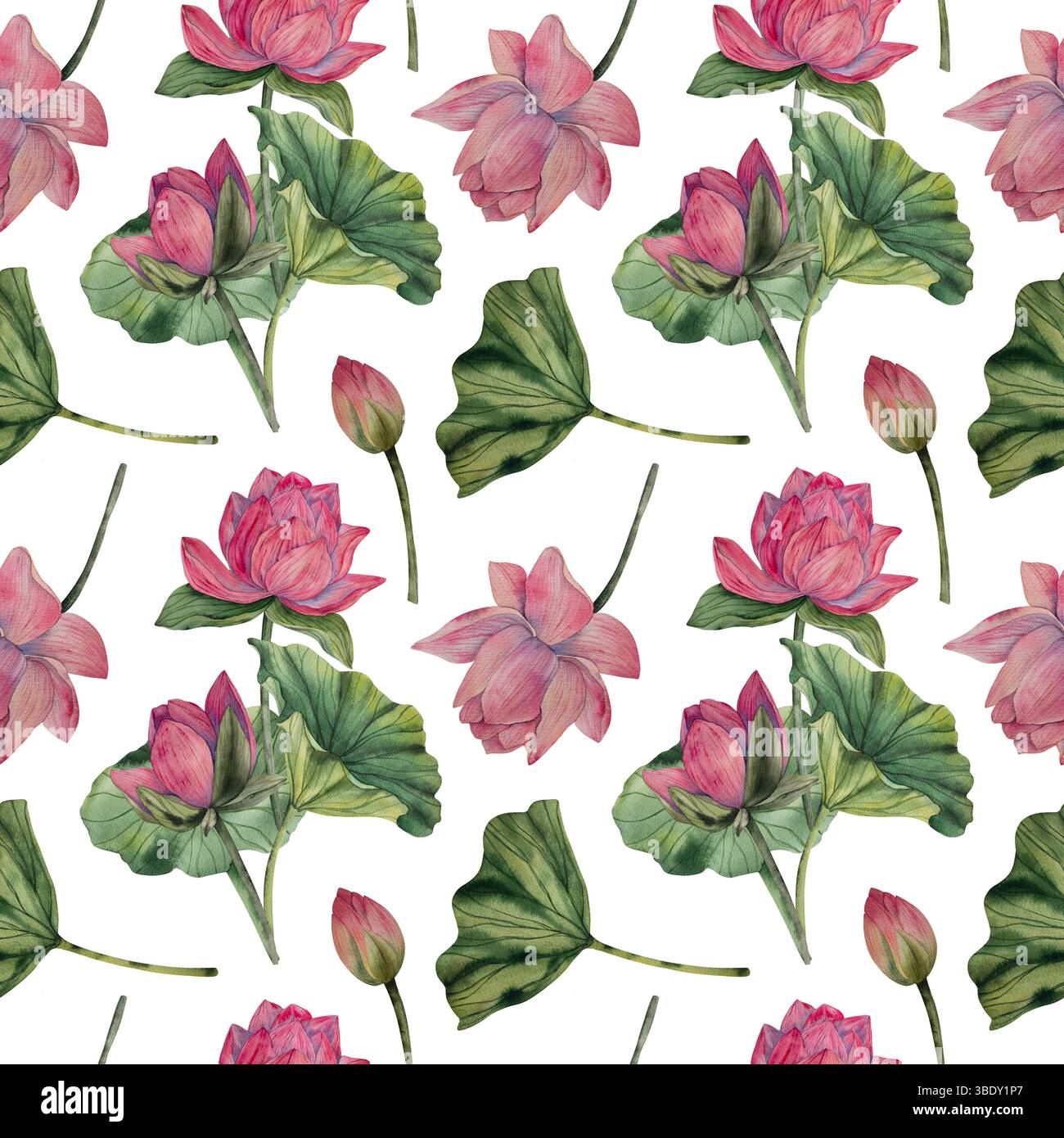 Motivo ad acquerello di loto disegnato a mano con fiori rosa fioriti e foglie verdi. Stile acquerello. Tavolozza naturale. Ideale per la carta da parati in tessuto Foto Stock