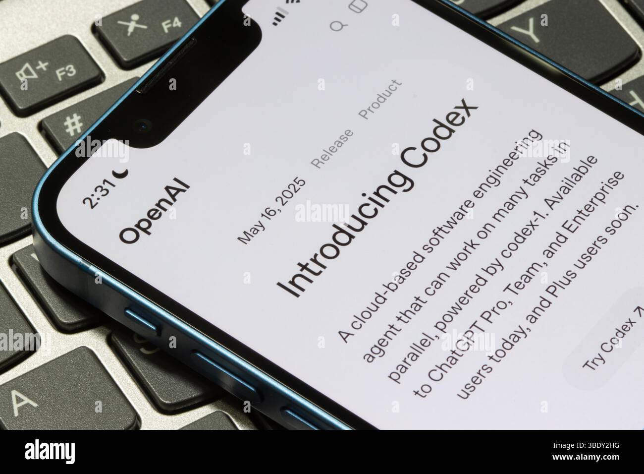Introduzione a Codex, un agente di progettazione software basato su cloud basato su Codex-1, è disponibile sul sito Web di OpenAI il 19 maggio 2025. Foto Stock
