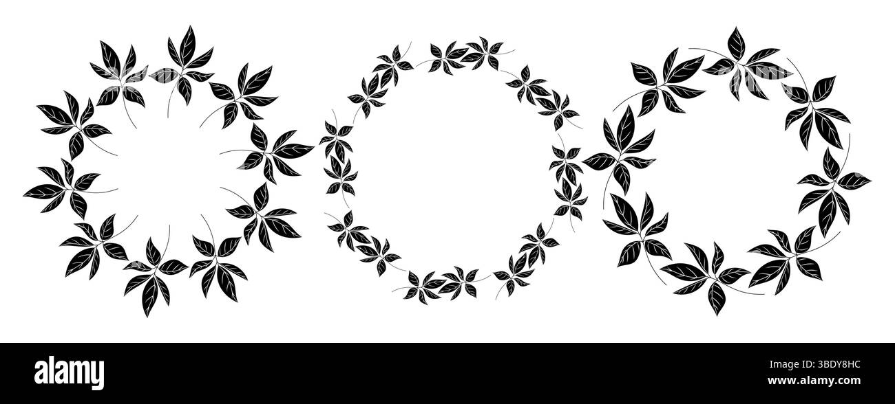 Set di ghirlande vettoriali circolari isolate composte da foglie astratte nere con venature bianche, progettate in uno stile moderno e minimal su un dorso bianco Illustrazione Vettoriale