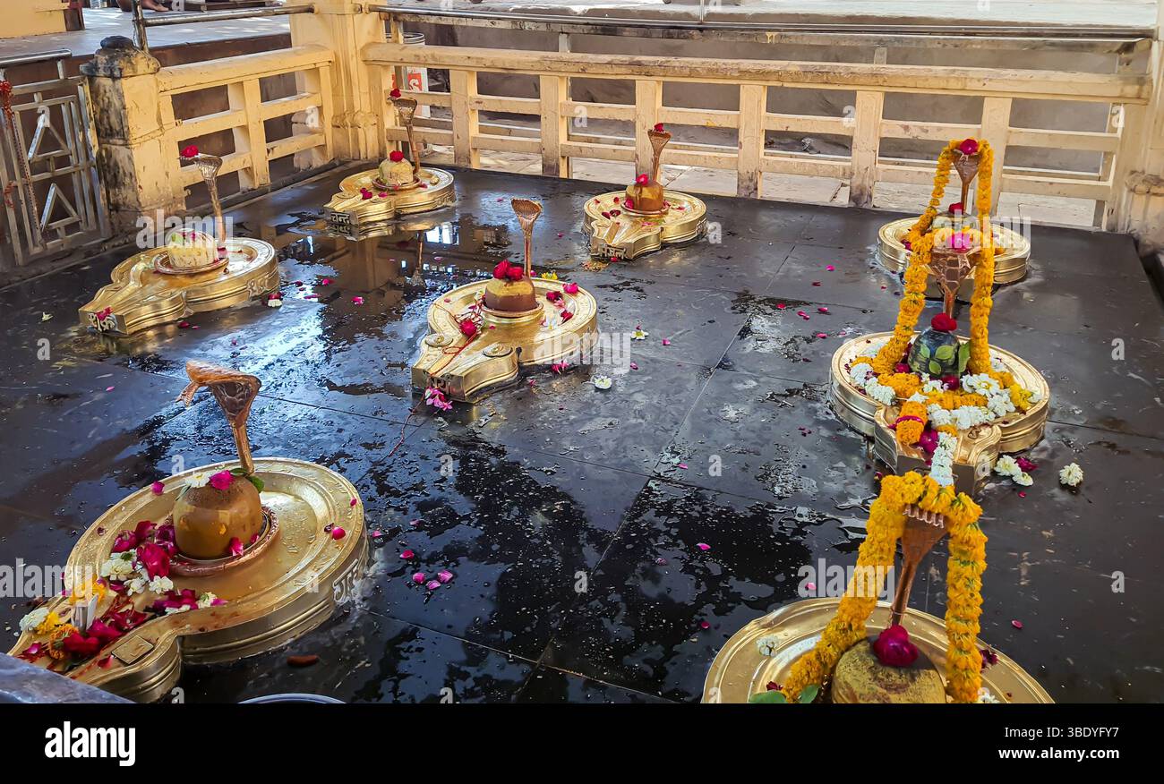 shivalinga molti adorati dal devoto al tempio indù il giorno in cui l'immagine viene scattata al tempio mahakal ujjain madhya pradesh india. Foto Stock