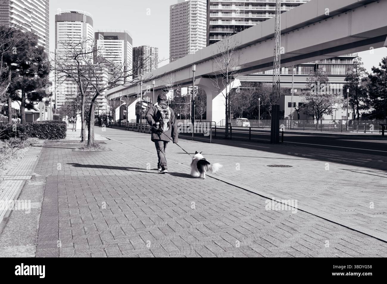 L'uomo passeggia dall'altra parte della strada rispetto alla linea sopraelevata Yurikamome con il suo cane Foto Stock