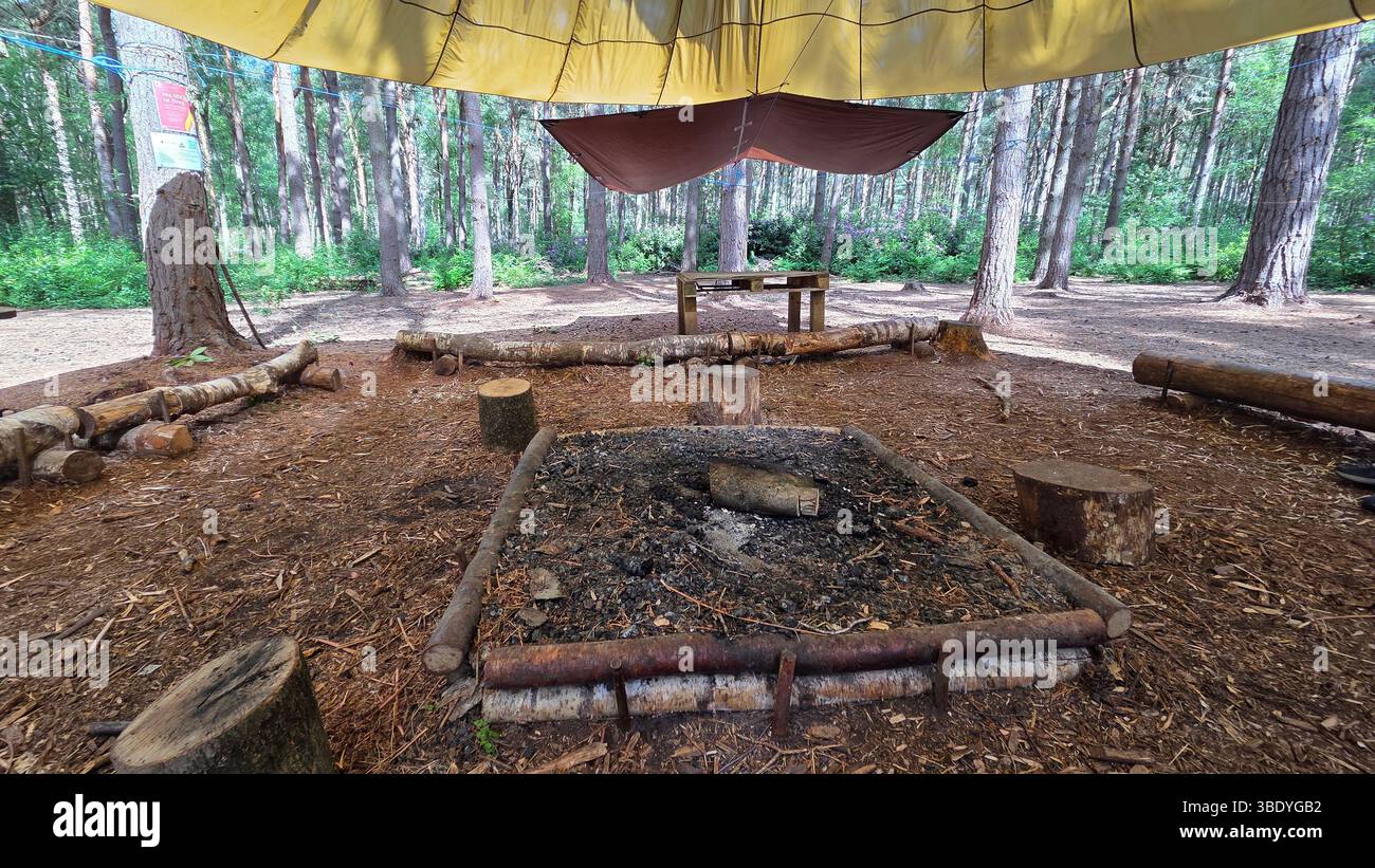 Campo base di Woodland - Immagine stock catturata con smartphone