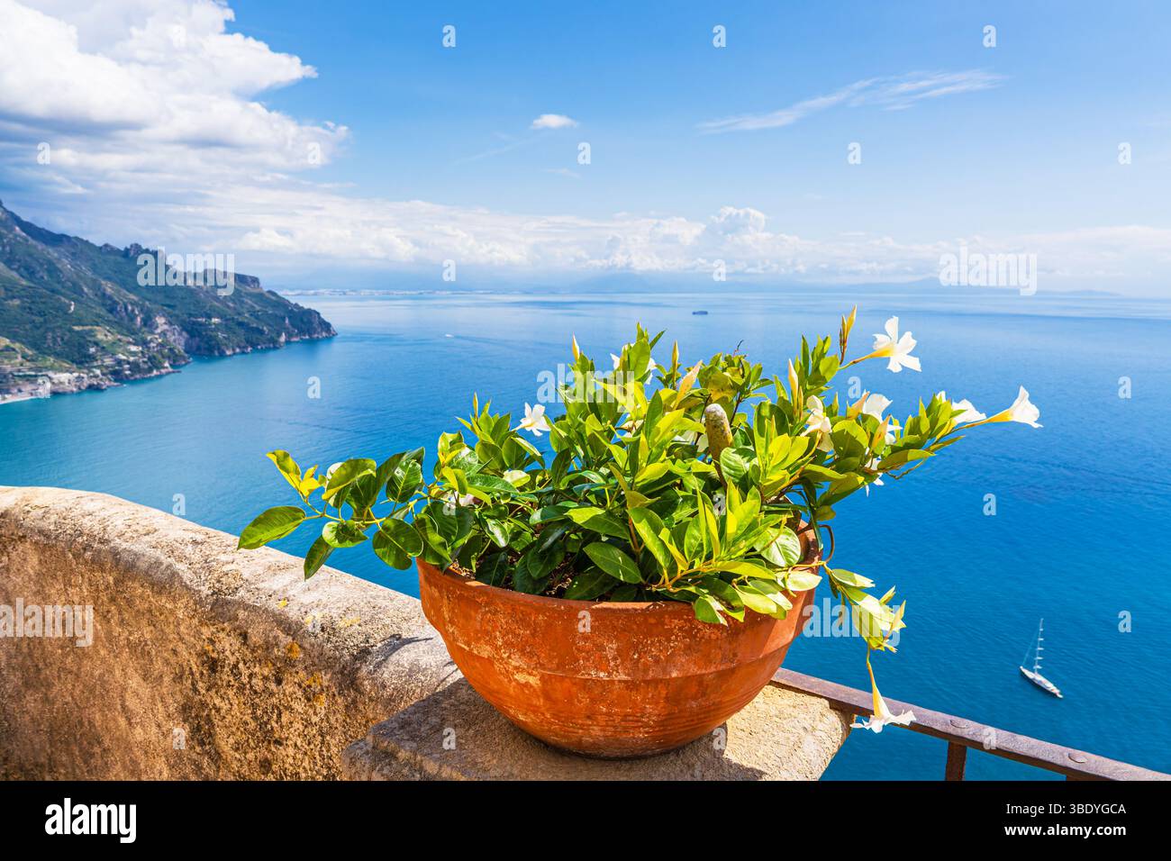 Vaso di fiori a Ravello sulla Costiera Amalfitana in Italia. Foto Stock