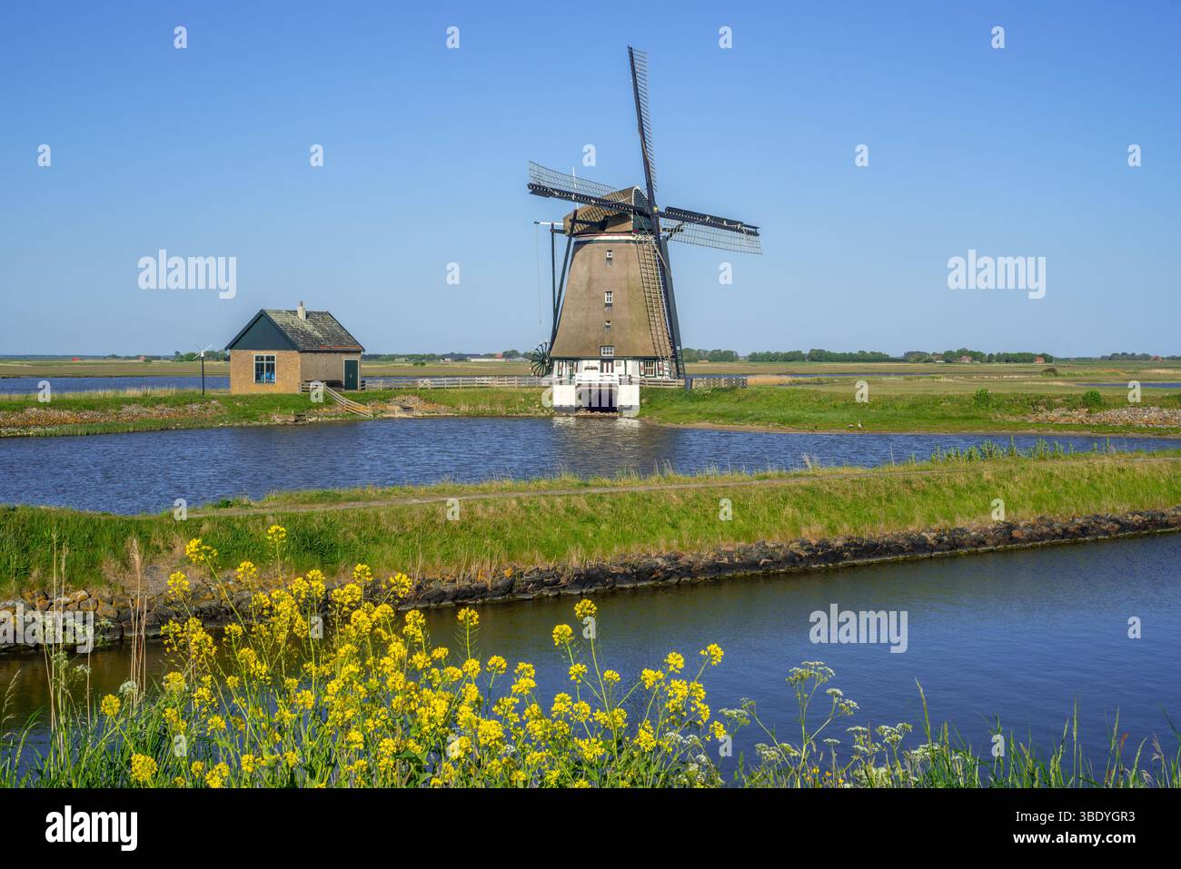 Mulino a vento 1878 Het Noorden, tradizionale mulino polder/mulino affumicato vicino a Oosterend sull'isola di Texel, Olanda settentrionale, Paesi Bassi Foto Stock