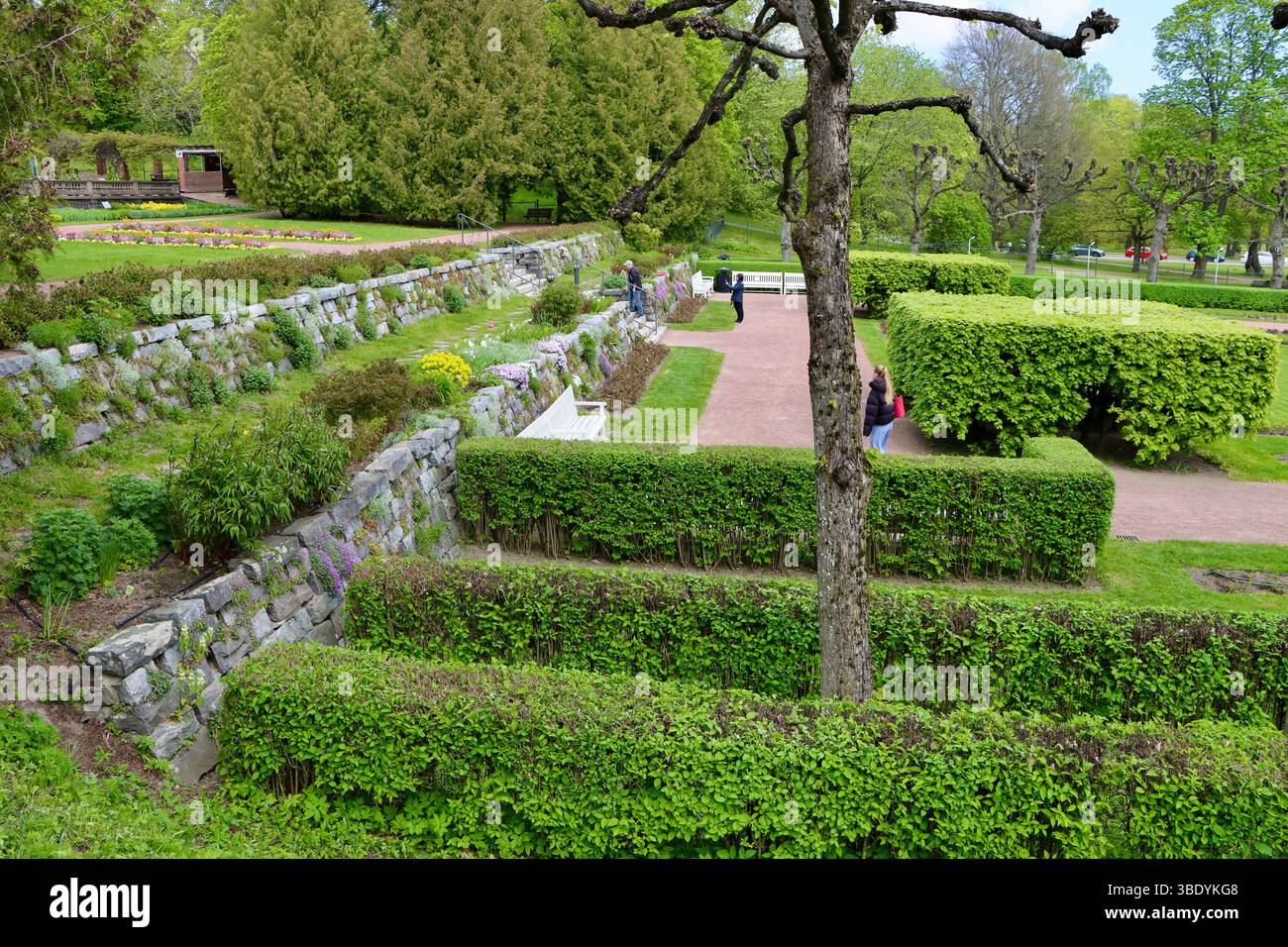I giardini di fronte alla serra del giardino d'inverno di Helsinki, maggio 2025 Foto Stock
