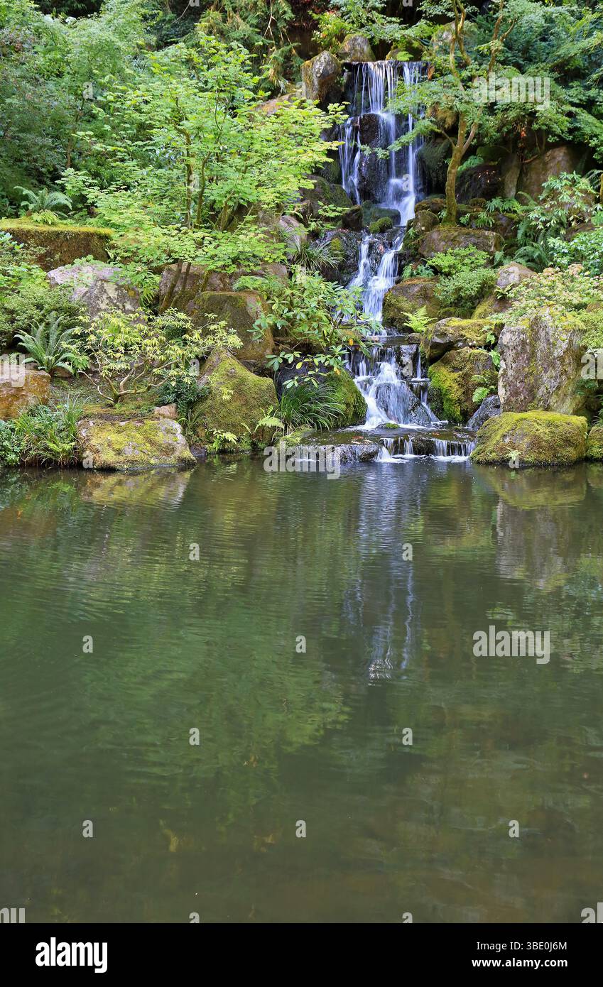 Heavenly Falls Vertical - Portland Japanese Garden, Oregon Foto Stock