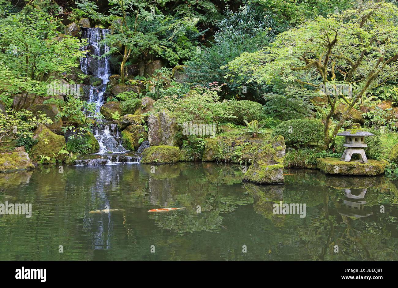 Heavenly Falls e la lanterna - Portland Japanese Garden, Oregon Foto Stock