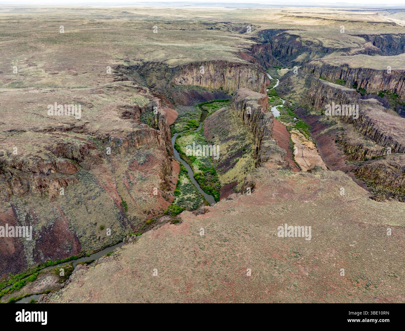 La natura selvaggia dell'Idaho con il tortuoso canyon Owyhee Foto Stock