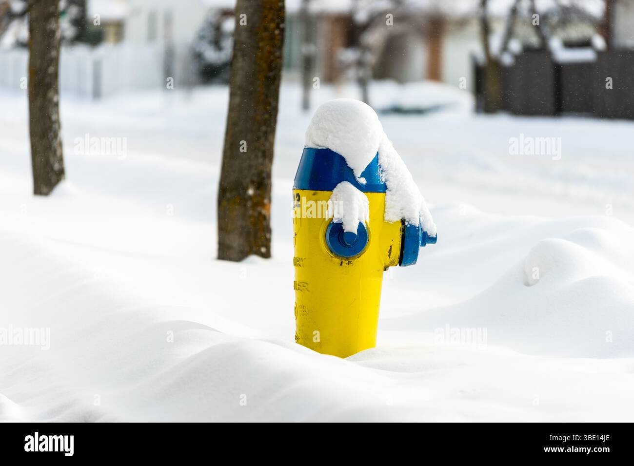 Idrante coperto di neve fresca Foto Stock