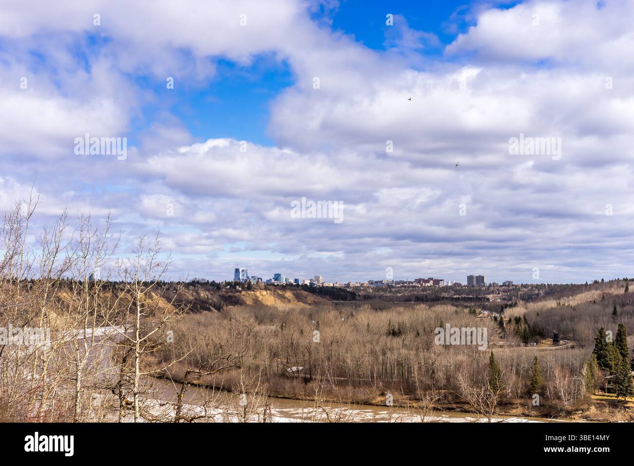 Vista della valle del fiume Edmonton North Saskatchewan e del centro città nella stagione primaverile con volo di uccelli Foto Stock
