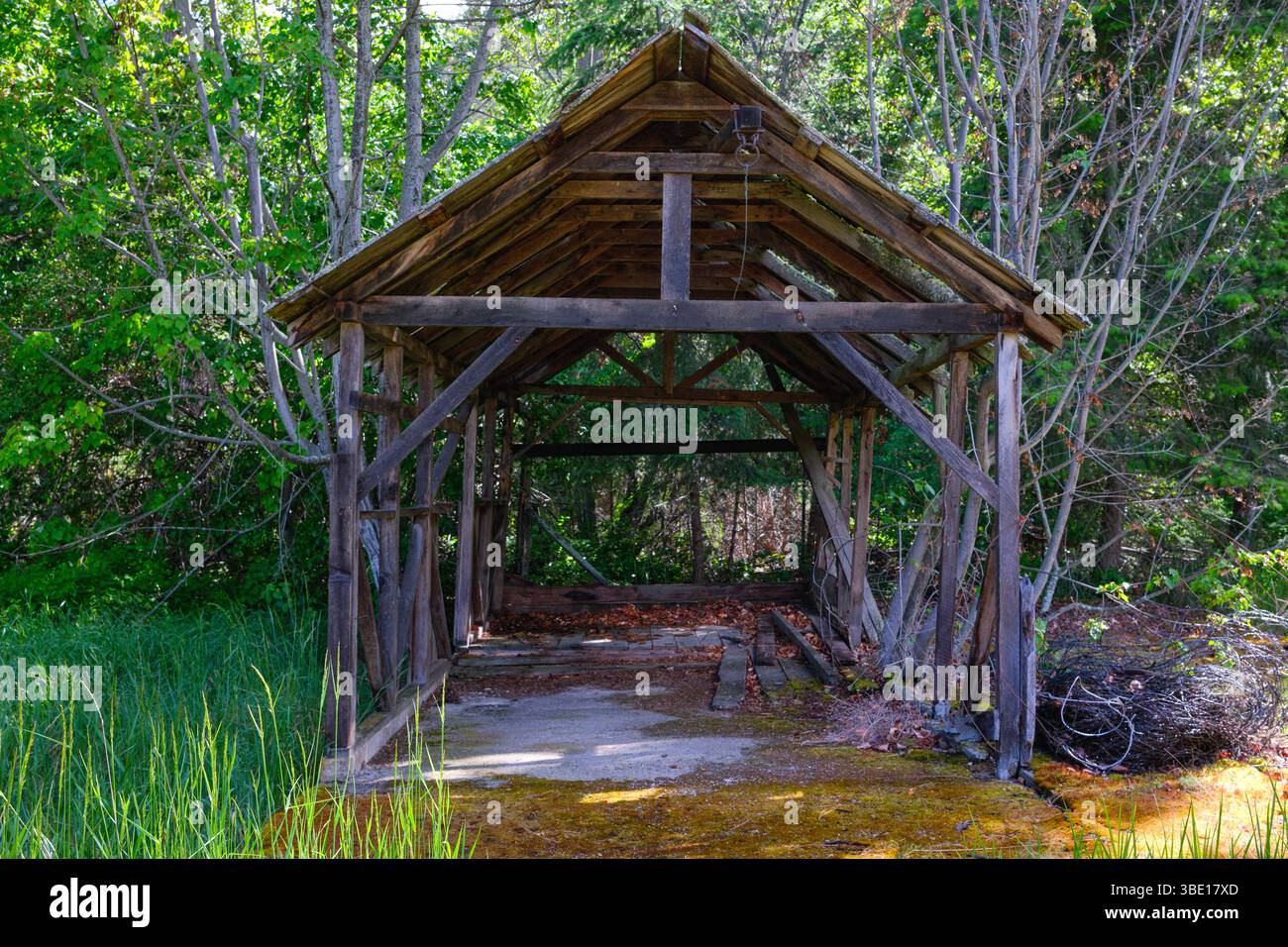 Una struttura in legno abbandonata nel Fintry Provincial Park a Kelowna, British Columbia. Foto Stock