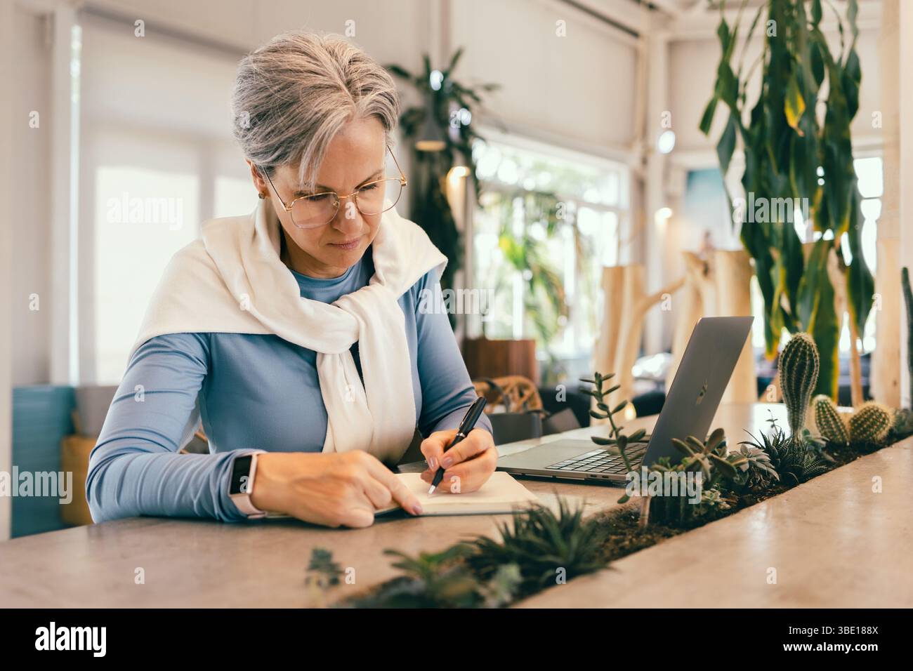 Donna anziana concentrata con capelli grigi che scrivono su un notebook mentre lavora su un computer portatile in un accogliente bar moderno Foto Stock