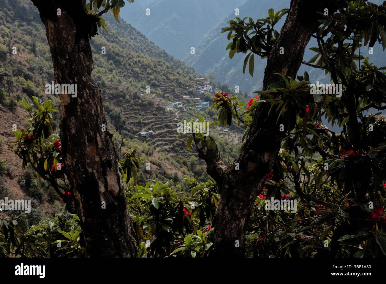 Trekking al villaggio di Briddim sul Tamang Heritage Trek, Briddim, Nepal Foto Stock