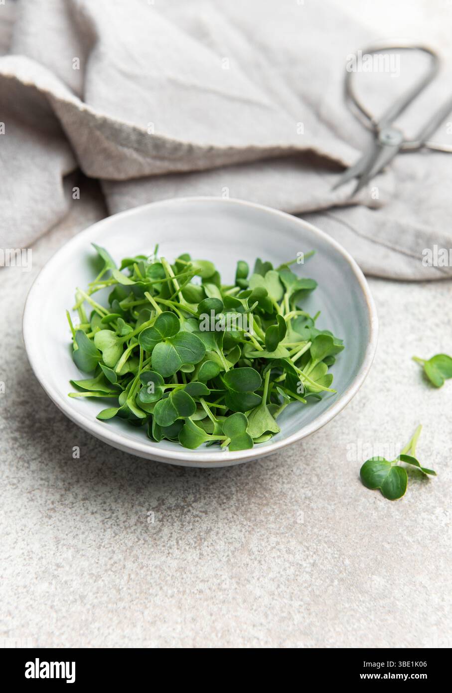 Microgreen tatsoi freschi in una ciotola, pronti a esaltare i pasti con il loro vivace colore verde e i benefici nutrizionali Foto Stock