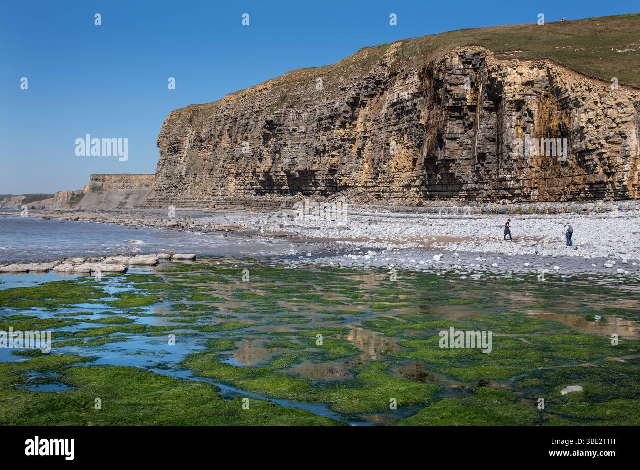 Monknash Beach sulla Glamorgan Heritage Coast nel Galles del Sud, Regno Unito Foto Stock